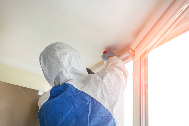 Best Emergency Mold Remediation in Puyallup, WA